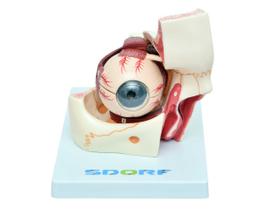 Sd-5044 - olho em órbita em 10 partes