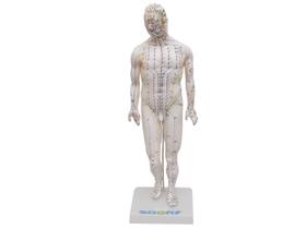 Sd-5098 - modelo de acupuntura masculino de 50cm
