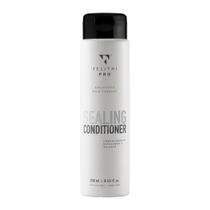 Sealing Conditioner 250 ml