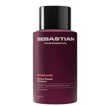 Sebastian Penetraitt Shampoo 250ml Sebastian Penetraitt Shampoo 250ml