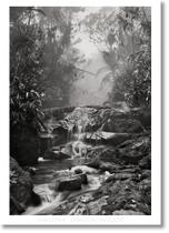 Sebastião Salgado. Amazônia. Poster Creek - TASCHEN Sebastião Salgado. Amazônia. Poster Creek - TASCHEN