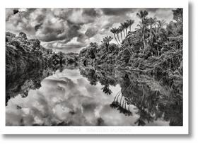 Sebastiao Salgado. Amazonia. Poster Jau River Sebastiao Salgado. Amazonia. Poster Jau River