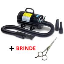 Seca Sopra Power Pet Profissional 2400W 127v + Tesoura Reta