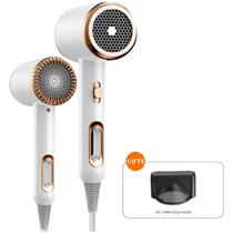 Secador de Cabelo Luxuoso (Secagem Rápida) (127 V - 1600 W)