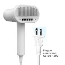 Secador De Pelos Para Animais De Estimação 2 Em 1 Escova E Secador Para Cães Baixo Ruído Proteção