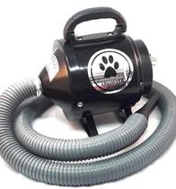 Secador Soprador Profissional Banho E Tosa Pet Shop