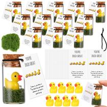 Seenelling 20 conjuntos de presentes para funcionários para formação de equipes com patos