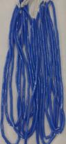 Segui Africano Segui Africano