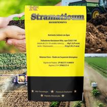 Segurança no Manejo e Controle Pragas e Doenças Stramaticum