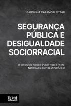 Segurança Pública e Desigualdade Sociorracial: efeitos do poder punitivo estatal no Brasil contemporâneo