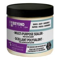 Selador Beyond Paint BP37 multiuso