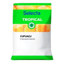 Selecta Tropical Sabor Cupuaçu 1kg Selecta Tropical Sabor Cupuaçu 1kg