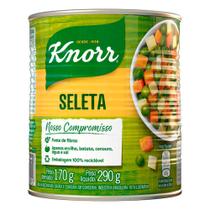 Seleta em Conserva Knorr 290g