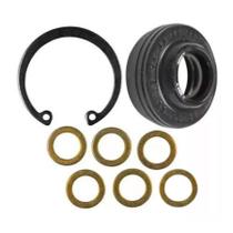 Selo Compressor Ar Condicionado Denso 10pa15 10pa17 Lip Seal - TUNDRA