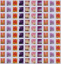 Selos postais do Serviço Postal dos Estados Unidos Tulip Blossom x100