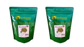 Sem. Espinafre Nova Zelândia 200g Alto Rendimento Fácil Cultivo 2 Unid. Sem. Espinafre Nova Zelândia 200g Alto Rendimento Fácil Cultivo 2 Unid.