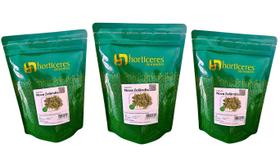 Sem. Espinafre Nova Zelândia 200g Alto Rendimento Fácil Cultivo 3 Unid. Sem. Espinafre Nova Zelândia 200g Alto Rendimento Fácil Cultivo 3 Unid.