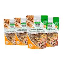 Semente 100% Orgânica de Girassol Torrada sem Casca com Sal Kit 4 Qualidade Superior 100g Semente 100% Orgânica de Girassol Torrada sem Casca com Sal Kit 4 Qualidade Superior 100g