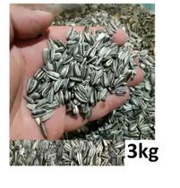 Semente 1,3 e 5 Kg Girassol Pequeno Para Pássaros Papagaio Limpo Miudo Semente 1,3 e 5 Kg Girassol Pequeno Para Pássaros Papagaio Limpo Miudo
