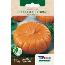 Semente Abobora Moranga Exposição H005 TOPSEED Semente Abobora Moranga Exposição H005 TOPSEED