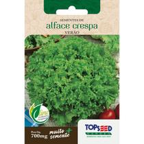 Semente Alface Crespa Para Verão H121 Topseed