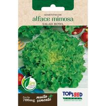 Semente Alface Mimosa Salad Bowl H024 Topseed