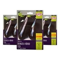 Semente Berinjela Ciça 900mg Isla Frutos Escuros e Excelente Padrão de Mercado Semente Berinjela Ciça 900mg Isla Frutos Escuros e Excelente Padrão de Mercado