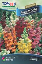 Semente Boca de Leao Ana Majestic Sortida Topseed F007 -10 Pacotes - Praxedes