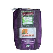 Semente Brachiaria Decumbens Top Seeds 10kg Pastagem e Cobertura de Solo Semente Brachiaria Decumbens Top Seeds 10kg Pastagem e Cobertura de Solo