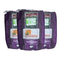 Semente Brachiaria Decumbens Top Seeds 30kg Pastagem e Cobertura de Solo