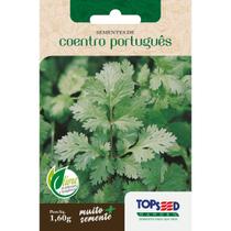 Semente Coentro Português H044 Topseed Semente Coentro Português H044 Topseed