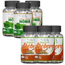 Semente de abóbora + ora pro nobis 500 mg 60 cáps 6 pts - Flora viva