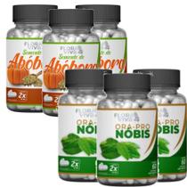 Semente de abóbora + ora pro nobis 500 mg 60 cápsulas 6 pts - Flora viva