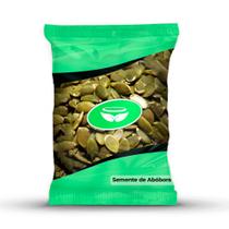 Semente de Abóbora sem Casca Torrada Salgada I Envio Imediato Semente de Abóbora sem Casca Torrada Salgada I Envio Imediato