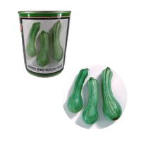 Semente de Abobrinha Menina Brasileira Precoce Feltrin - 100g Semente de Abobrinha Menina Brasileira Precoce Feltrin - 100g