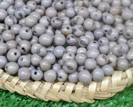Semente de açaí para artesanato e biojoias