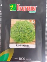 Semente de Alface Veneranda Feltrin 1000 SEMENTE Semente de Alface Veneranda Feltrin 1000 SEMENTE