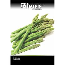 Semente de Aspargo Nilo Feltrin Eco