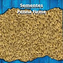 Semente de Aveia - 1kg Semente de Aveia - 1kg