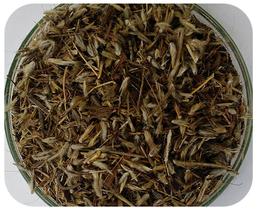 Semente De Capim Andropogon - 8Kg - Alta Qualidade Em Germinação - Oferta Imperdível! Semente De Capim Andropogon - 8Kg - Alta Qualidade Em Germinação - Oferta Imperdível!