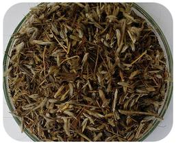 Semente De Capim Andropogon - 8Kg - Alta Qualidade Em Germinação - Oferta Imperdível!