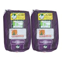 Semente de Capim Panicum Miyagui 20KG Pasto Alta Germinação e Formação Rápida