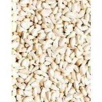 Semente de Cartamo 1,5kg Semente de Cartamo 1,5kg