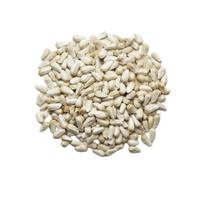 Semente de Cartamo - 500g Semente de Cartamo - 500g