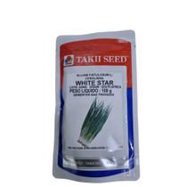 Semente de Cebolinha White Star Importada Takii Seed 100g