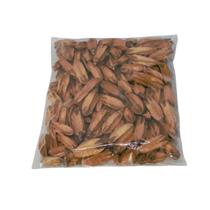 Semente de Cedro Natural p/ Decoração