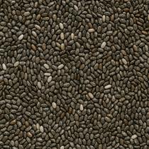 Semente de Chia 100g