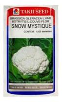 Semente de Couve Flor Híbrida Snow Mystique 2.500 Sementes