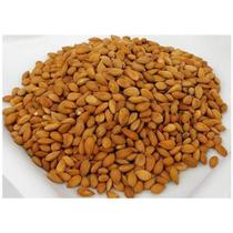 Semente de Damasco Amargo Alta Energia Natural 100 gr Semente de Damasco Amargo Alta Energia Natural 100 gr