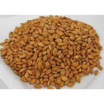 Semente de Damasco Amargo (ESPECIAL) 500 GR Semente de Damasco Amargo (ESPECIAL) 500 GR
